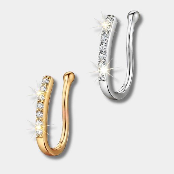 2pcs gold and silver basic nose clips
